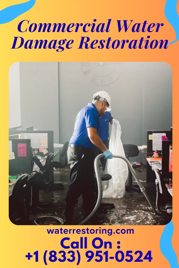 Commercial Water Damage Restoration in Mayetta, KS