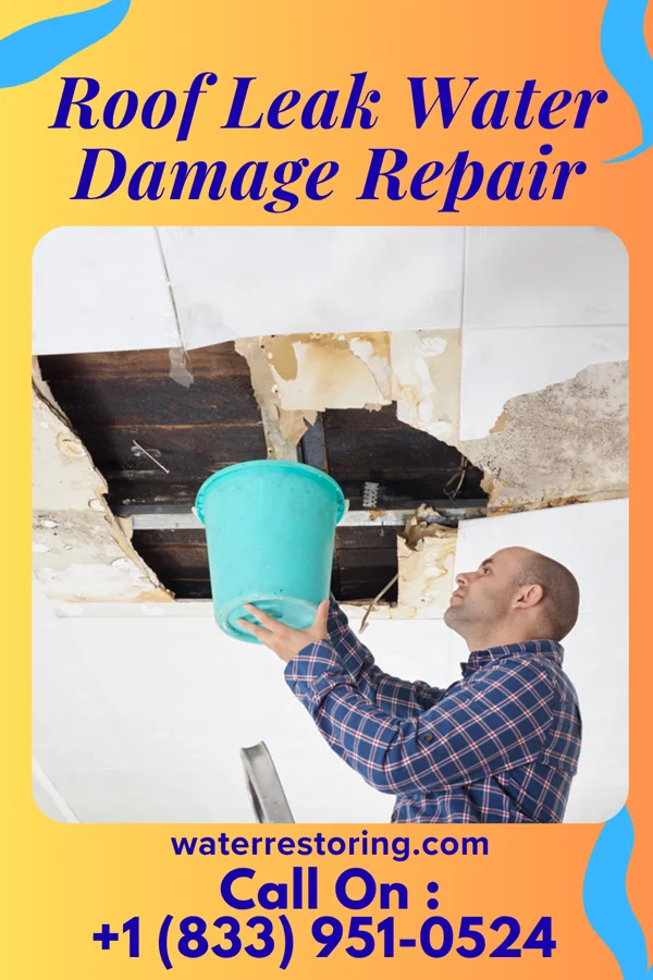 Roof Leak Water Damage Repair in Mayetta, KS